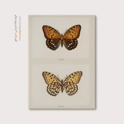 تابلو پروانه - اسپو دکور
