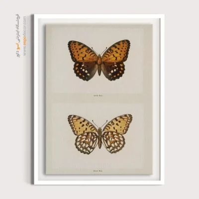 تابلو پروانه - اسپو دکور