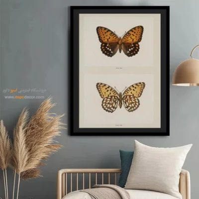 تابلو پروانه - اسپو دکور