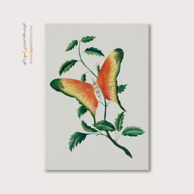 تابلو پروانه - اسپو دکور