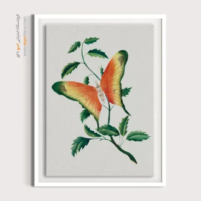 تابلو پروانه - اسپو دکور