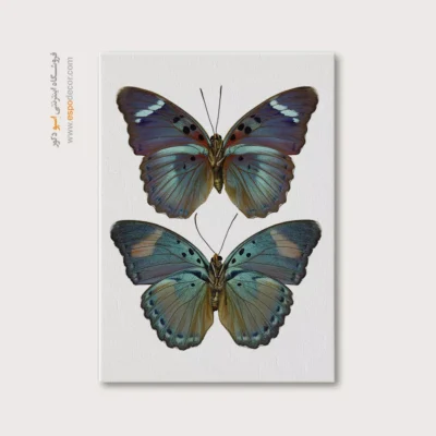 تابلو پروانه - اسپو دکور