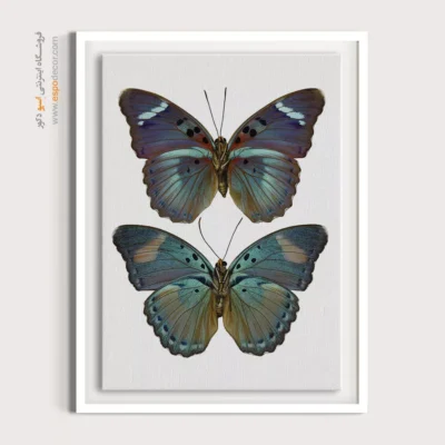 تابلو پروانه - اسپو دکور