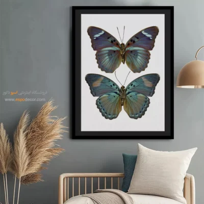 تابلو پروانه - اسپو دکور