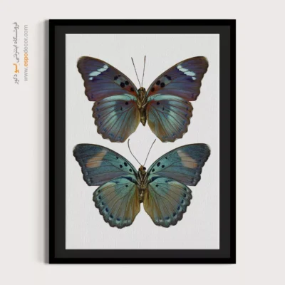 تابلو پروانه - اسپو دکور