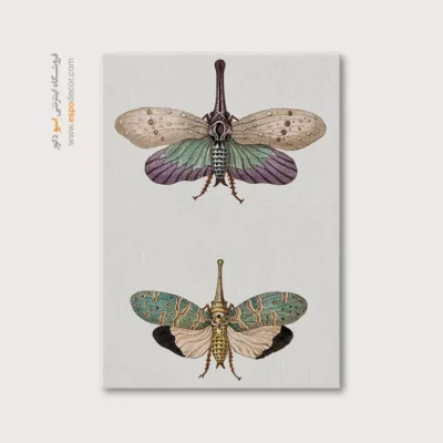 تابلو پروانه - اسپو دکور