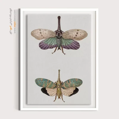 تابلو پروانه - اسپو دکور