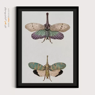 تابلو پروانه - اسپو دکور