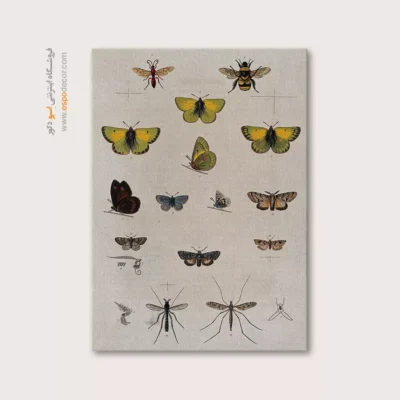 تابلو پروانه - اسپو دکور