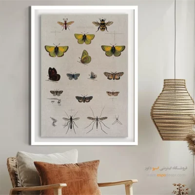 تابلو پروانه - اسپو دکور