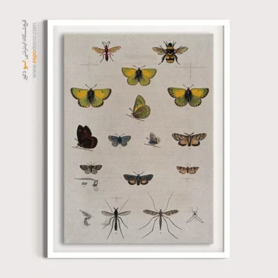 تابلو پروانه - اسپو دکور