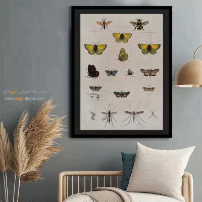 تابلو پروانه - اسپو دکور