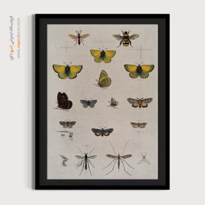 تابلو پروانه - اسپو دکور