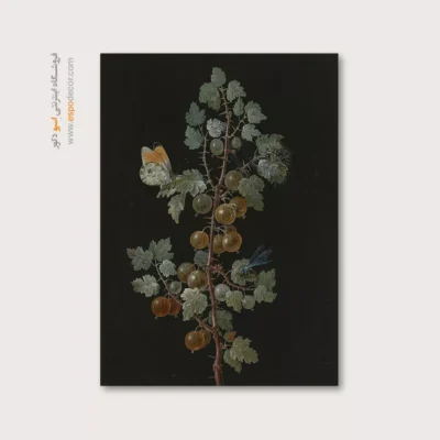 تابلو پروانه - اسپو دکور