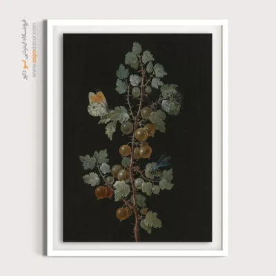 تابلو پروانه - اسپو دکور