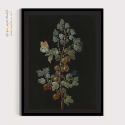 تابلو پروانه - اسپو دکور