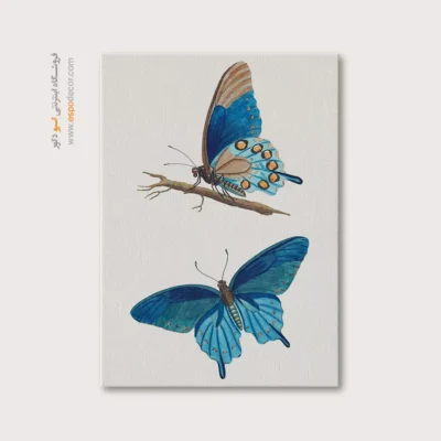 تابلو پروانه - اسپو دکور