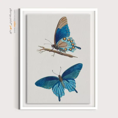 تابلو پروانه - اسپو دکور