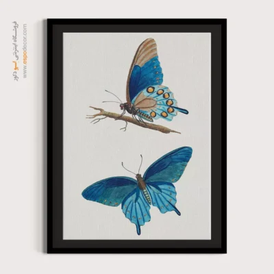 تابلو پروانه - اسپو دکور