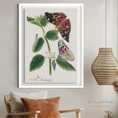 تابلو پروانه - اسپو دکور