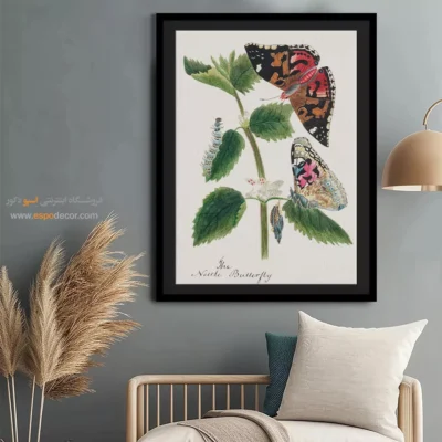 تابلو پروانه - اسپو دکور