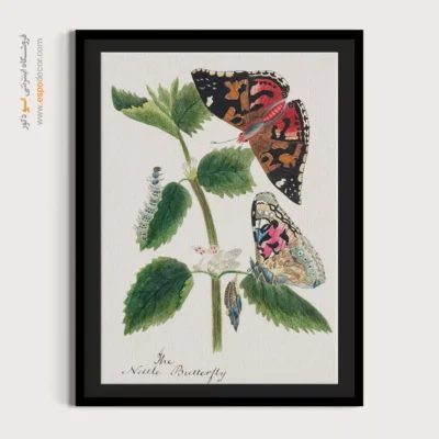 تابلو پروانه - اسپو دکور