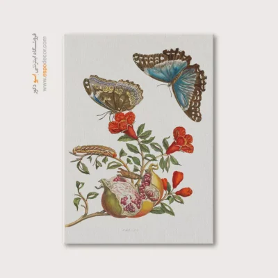 تابلو پروانه - اسپو دکور