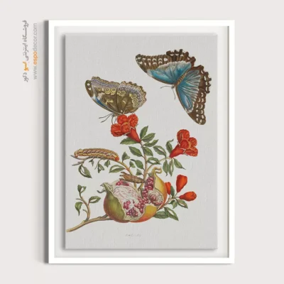 تابلو پروانه - اسپو دکور