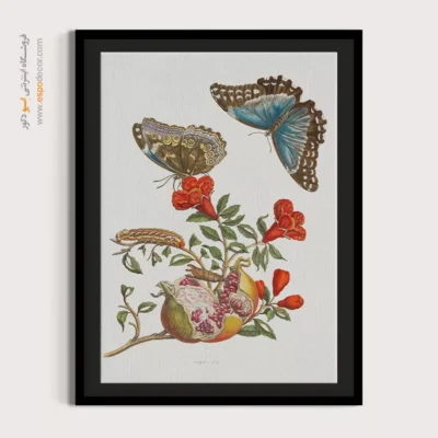 تابلو پروانه - اسپو دکور