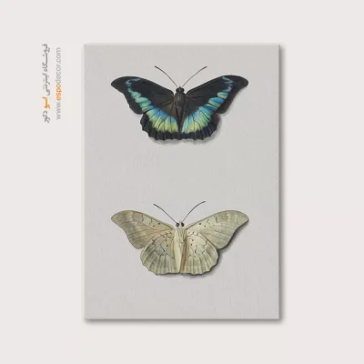 تابلو پروانه - اسپو دکور