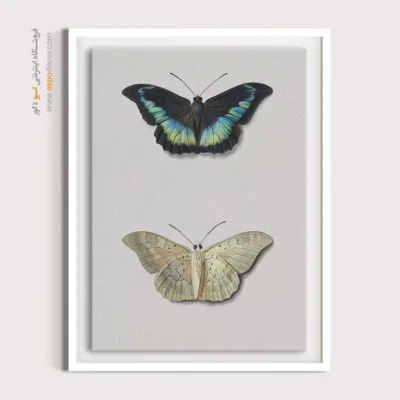 تابلو پروانه - اسپو دکور