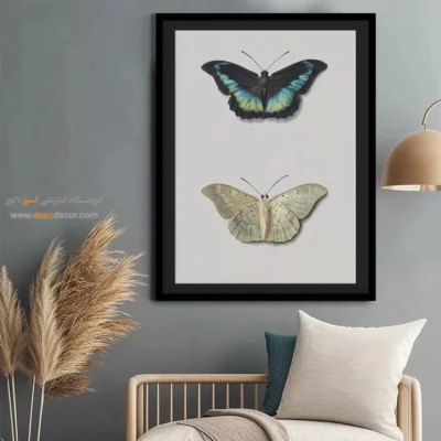 تابلو پروانه - اسپو دکور