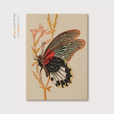 تابلو پروانه - اسپو دکور