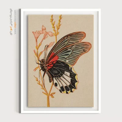 تابلو پروانه - اسپو دکور