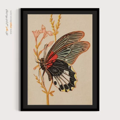 تابلو پروانه - اسپو دکور