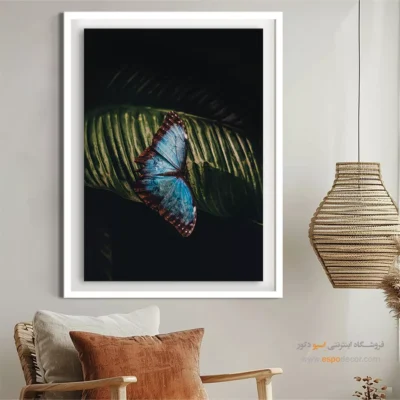تابلو پروانه - اسپو دکور