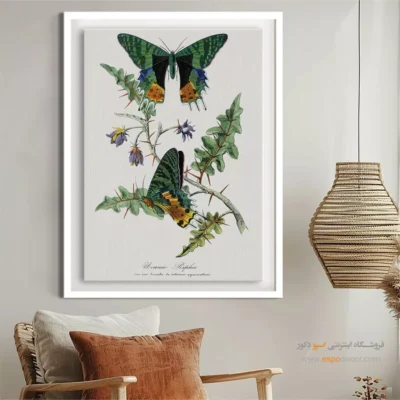 تابلو پروانه - اسپو دکور