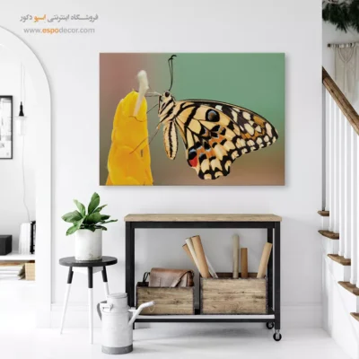 تابلو پروانه - اسپو دکور