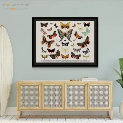 تابلو پروانه - اسپو دکور