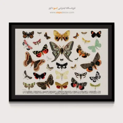 تابلو پروانه - اسپو دکور