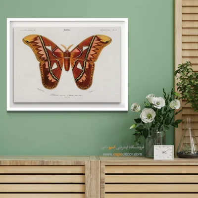 تابلو پروانه - اسپو دکور