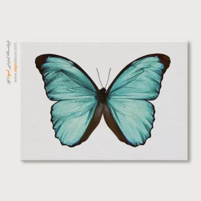 تابلو پروانه - اسپو دکور