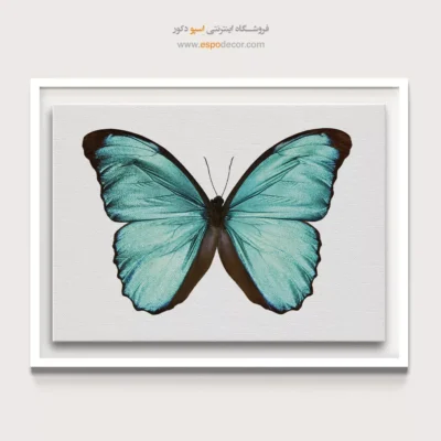 تابلو پروانه - اسپو دکور
