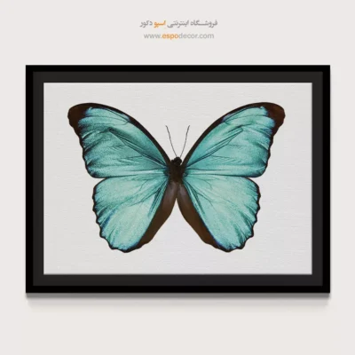تابلو پروانه - اسپو دکور