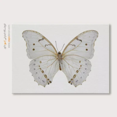 تابلو پروانه - اسپو دکور