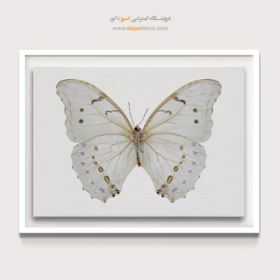 تابلو پروانه - اسپو دکور