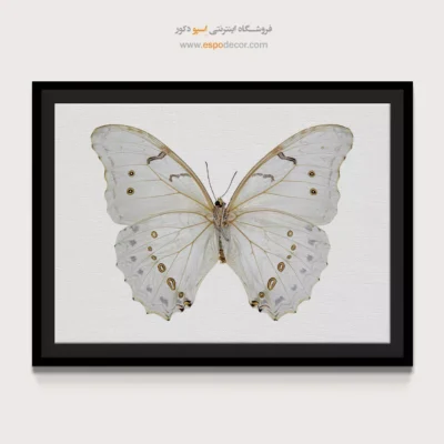 تابلو پروانه - اسپو دکور
