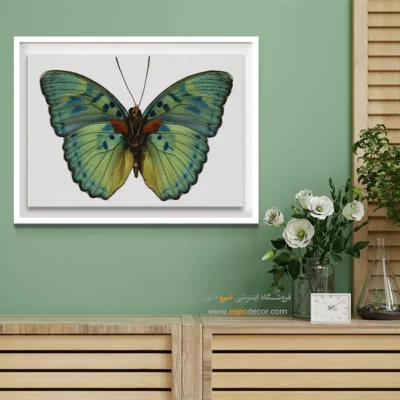 تابلو پروانه - اسپو دکور