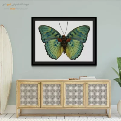 تابلو پروانه - اسپو دکور