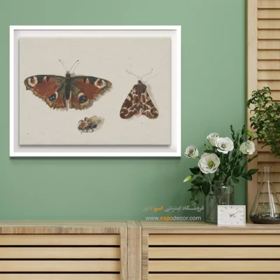 تابلو پروانه - اسپو دکور
